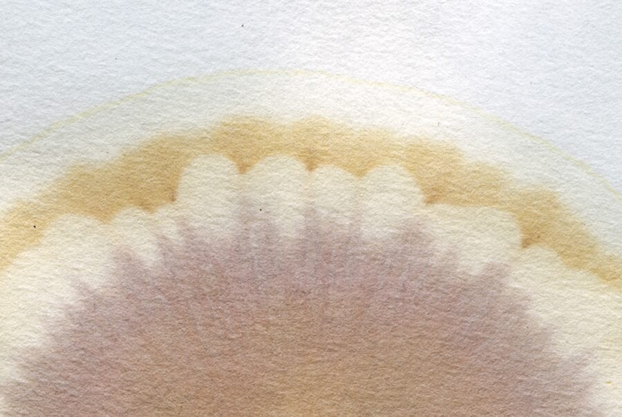 Obra-Closeup-Ivette
